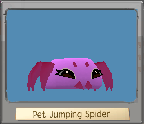 Pet Jumping Spider, Animal Jam Wiki