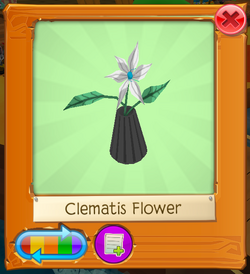 Clematis Flower Animal Jam Wiki Fandom