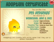 Golden variant from Golden Pet Token