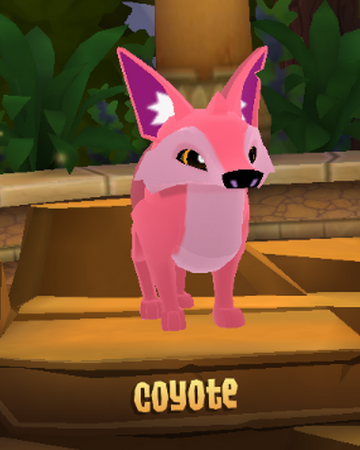 Coyote | Animal Jam Wiki | Fandom