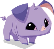 2272383937329.png (210 KB)