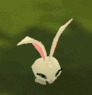 Bunny4