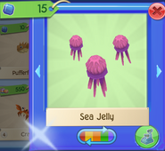 AQ Jelly 9