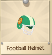 Rare Football Helmet original name