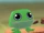 Pet Frog