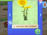 Butterfly's Giant Sunflower