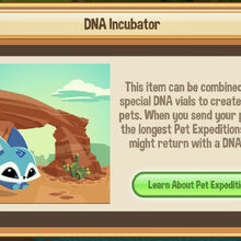 Dna Incubator Play Wild Wiki Fandom They can be bought in claws 'n paws , sapphire shop , or through the pets section of the change your look menu. dna incubator play wild wiki fandom