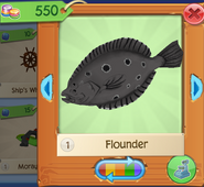 AQ Flounder 3