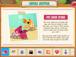 Pet Rock, Animal Jam Wiki