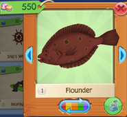 AQ Flounder 2