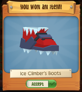 IceBoots