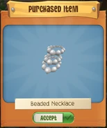 Beaded Necklace from the bundle.