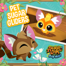 Pet Sugar Glider Play Wild Wiki Fandom The pet sugar glider was originally released during june 2017 at claws 'n paws and at the sapphire. pet sugar glider play wild wiki fandom