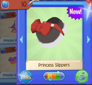 Princess slippers 1