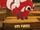 Red Panda