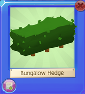Bungalowhedge
