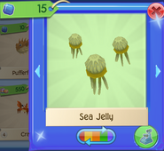 AQ Jelly 8