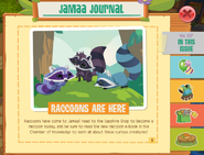 Raccoons in the Jamaa Journal