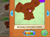 Birthday Chocolate Koala