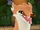 Thylacine