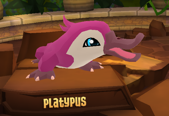 Platypus | Animal Jam Wiki | Fandom