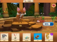 Fox available for 3,000 Gems.