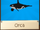 Orca
