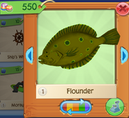 AQ Flounder 4