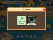 Pet on an expedition