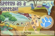 Cheetah Jam-A-Gram