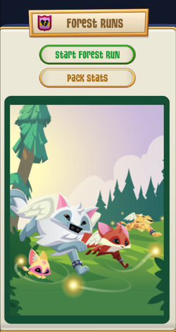 Pack Runs | Animal Jam Wiki | Fandom Pack Runs | Animal Jam Wiki | Fandom