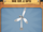 Eco Wind Turbine