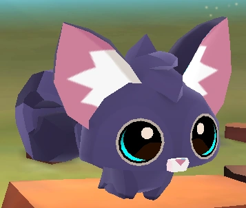 sugar glider animals for pets