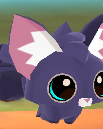 selling sugar gliders