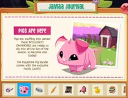 Pig Jamaa Journal .jpg (216 KB)