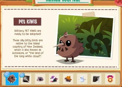 Pet Kiwi | Animal Jam Wiki | Fandom