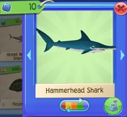 AQ Ham 2.png (115 KB)