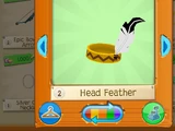 Head Feather