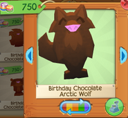 Birthday chocolate arctic wolf 2