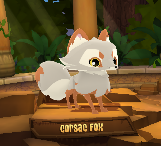 Corsac Fox, Animal Jam Wiki