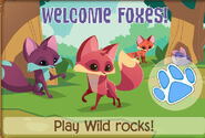2A041CF7-B662-4464-9446-F90E5547EDB4.jpeg (609 KB) Foxes Jam-A-Gram