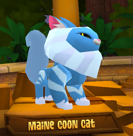 Maine Coon Cat | Animal Jam Wiki | Fandom Maine Coon Cat | Animal Jam Wiki | Fandom