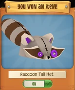 RaccoonH 2.png (67 KB)