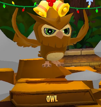 Owl | Animal Jam Wiki | Fandom