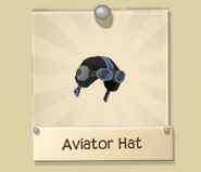 Rare Aviator Hat original name