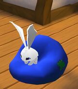 A bunny sitting in a beanbag.