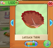 Lettuce 4