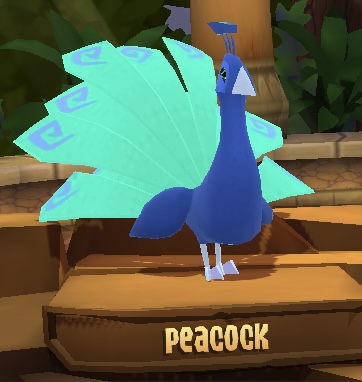 Peacock | Animal Jam Wiki | Fandom