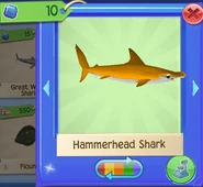 AQ Ham 3.png (115 KB)