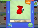 Reindeer Boots